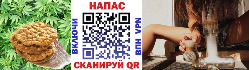 где найти   Владивосток  Печенье с ТГК конопля 