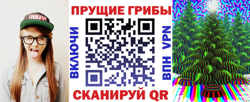 купить закладку  Владивосток  Псилоцибиновые грибы Magic Shrooms 